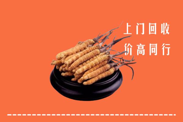 高价求购：获嘉县回收散虫草