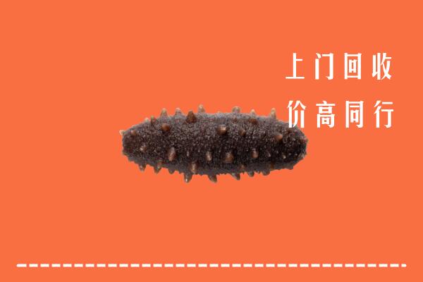 高价求购：获嘉县回收海参