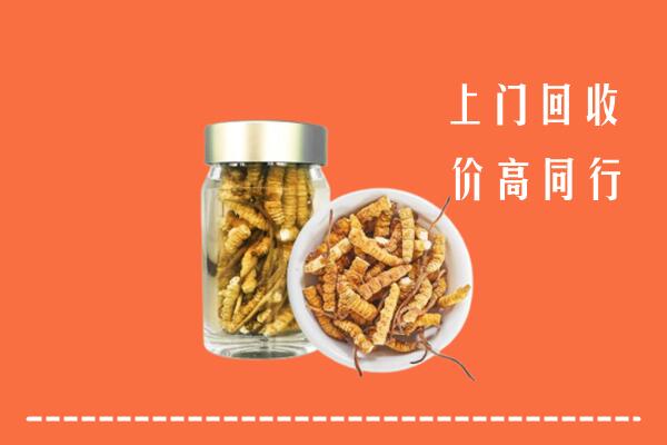 获嘉县回收冬虫夏草