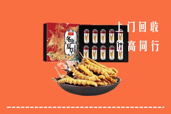 获嘉县回收虫草